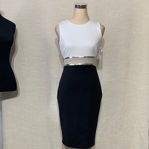Calvin Klein ColorBlock Sheath Dress Black and White Skirt US2P Fits Small Size